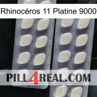 Rhinocéros 11 Platine 9000 07